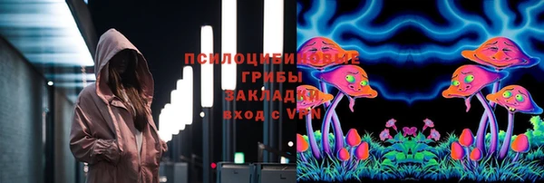 дмт Аркадак