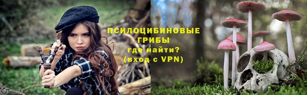 дмт Аркадак