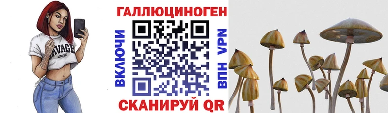 Галлюциногенные грибы ЛСД Усолье